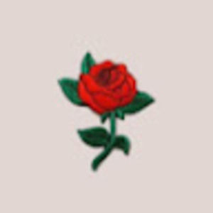 Meet your Posher, Ajani